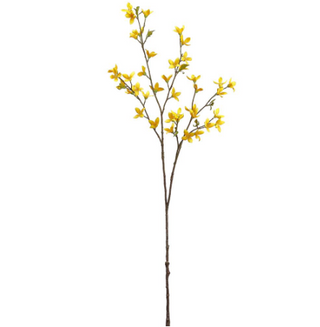 Yellow Forsythia Spray