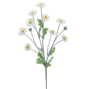 White Aster Daisy Spray