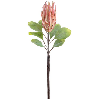 Pink Protea Spray