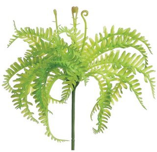 Soft Mini Fern Stem