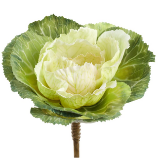 Ornamental Cabbage Pick