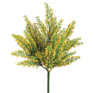 Yellow Mini Heather Bush