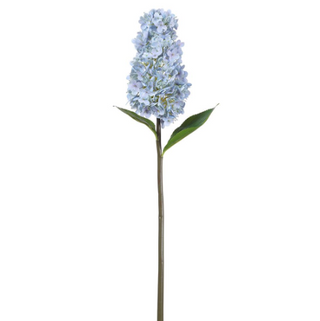 Delphinium Cone Hydrangea