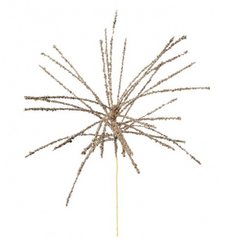 Champagne Glitter Burst