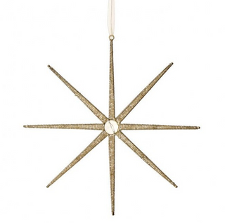Desert Star Ornament