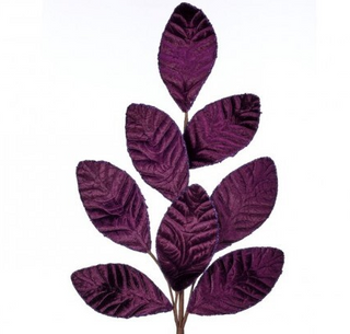 Purple Baroque Leaf Stem