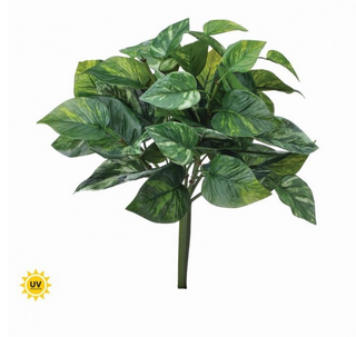UV Pothos Bush