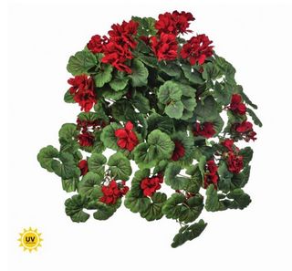 UV Red Hanging Geranium