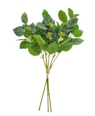 Seedling Beech Greenery Bundle