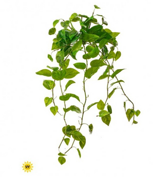 UV Natural Touch Pothos