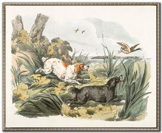 Hounds on the Hunt II