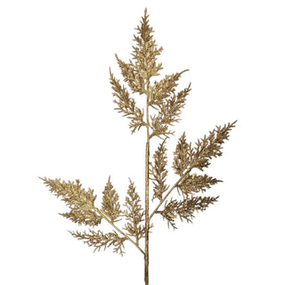 Cedar Spray Gold 24”