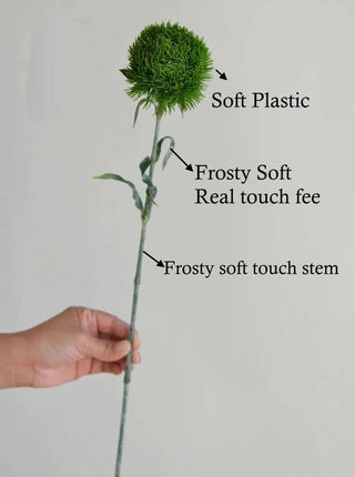 21.5" Dianthus Green Ball Stem