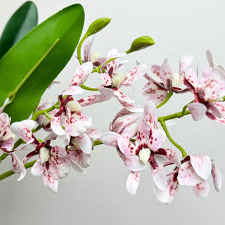 17" Real Touch Orchid Stem
