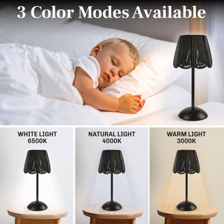 Solar Rechargeable Lamp