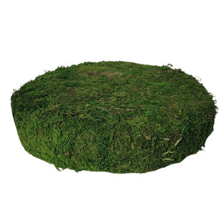 12.5" Moss Disc