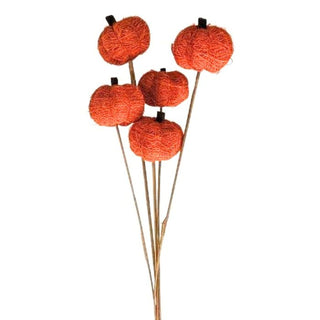 Vine Pumpkin Orange Stem