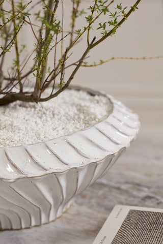Caliza Bowl