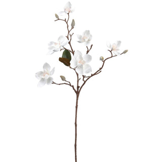 White Magnolia Spray