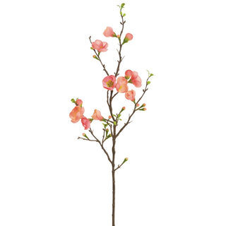Coral Quince Blossom Spray