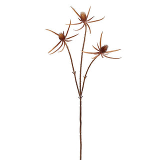 27" Eryngium Spray