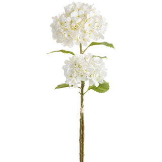 White Hydrangea Bundle