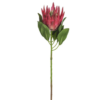 Pink King Protea Spray