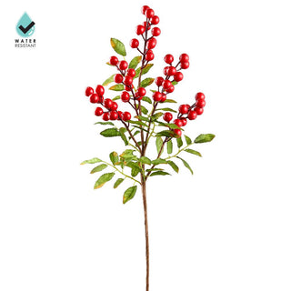30" Water Resist Berry Spray