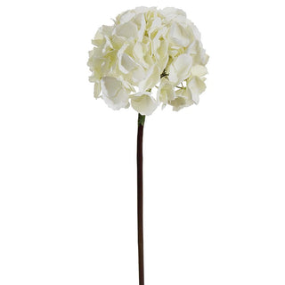 French Hydrangea Ivory 25"