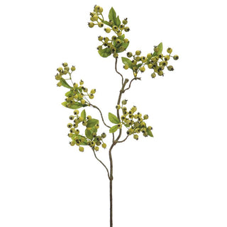 Green Berry Spray