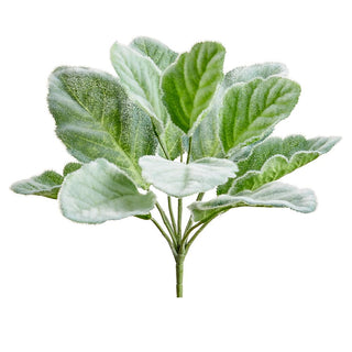 Green Gray Lamb's Ear