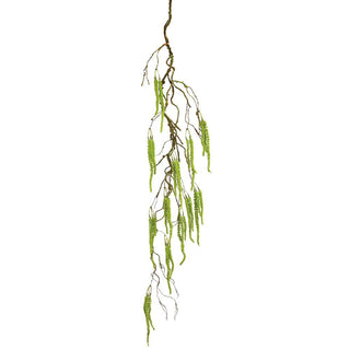 Hanging Amaranthus Spray