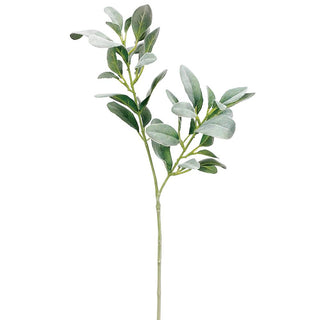 Green Lamb's Ear Leaf Spray