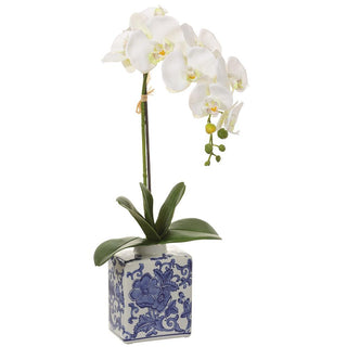 22" Orchid in Vase