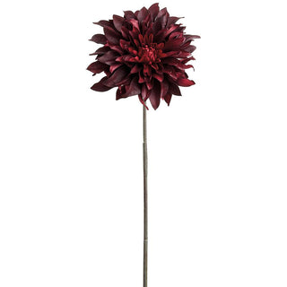 Burgundy Dahlia Spray