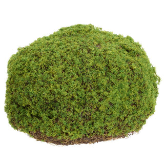 Green Moss Bun