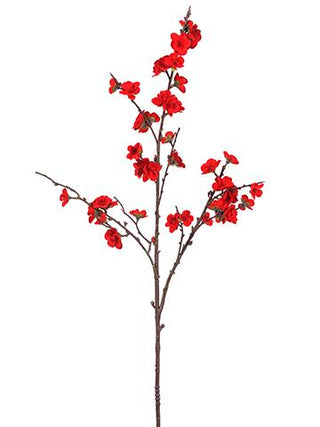 30" Red Plum Blossom