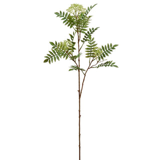Cream Green Sorbus Spray