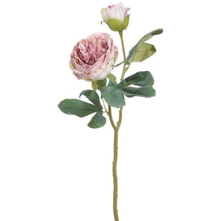 Lavender Bud Peony Spray