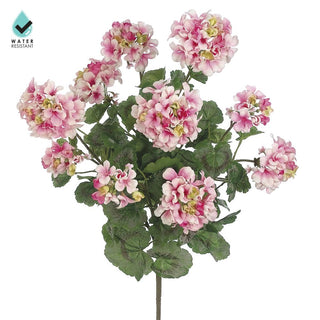 24" Pink White Geranium UV
