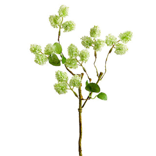Viburnum Spray Green