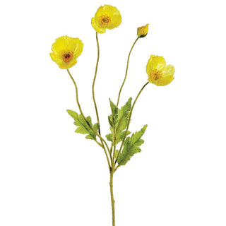 Yellow Poppy Spray