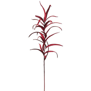 Red Velvet Eucalyptus Stem