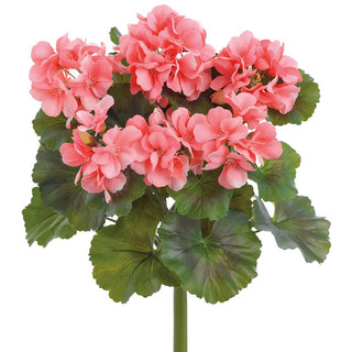 16" Coral Geranium Bush