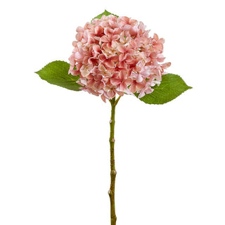 Mauve/Cream Hydrangea Spray