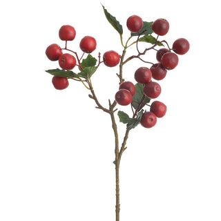 Red Crabapple Pick