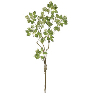 Sedum Spray Green 35"