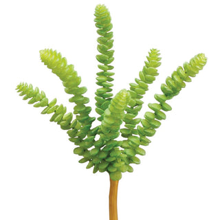 Donkey Tail Pick