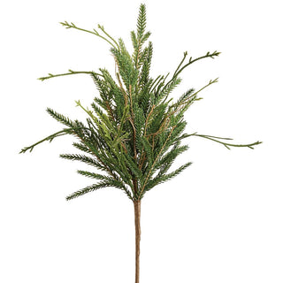 Pine Club Moss Pick