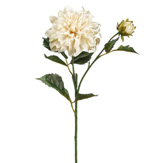 Ivory Dahlia Spray